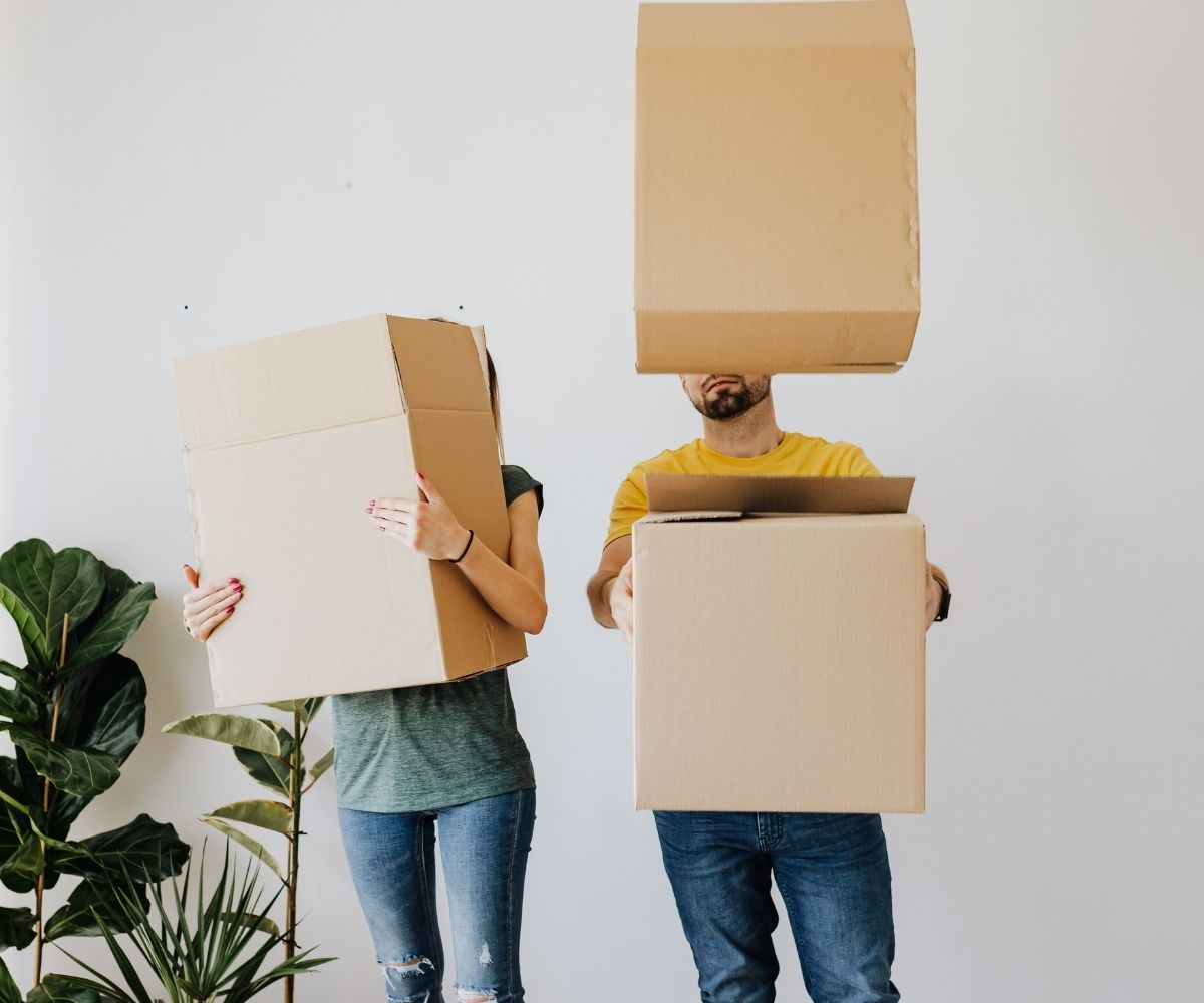 de dónde sale el cartón